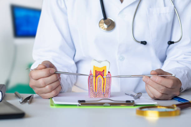 Best Broken Tooth Emergency  in Eastlake, OH